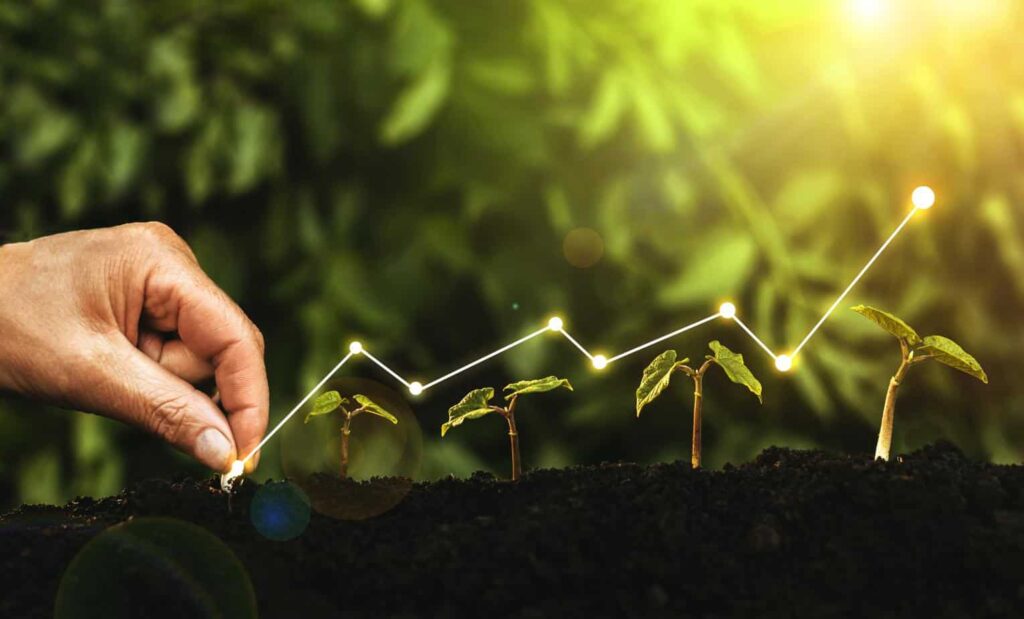 Agricultura bio - mana, semn de profit, plante verzi