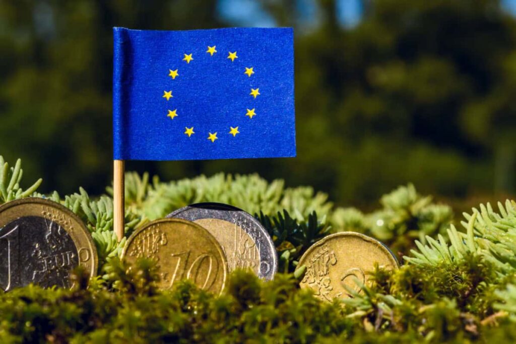 Steagul Uniunii Europene, monede euro